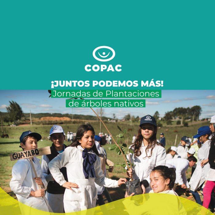 ¡JUNTOS PODEMOS MÁS! Jornadas de plantaciones de árboles nativos.